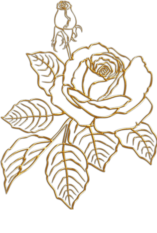 玫瑰金色图片大全_玫瑰金色图片素材【png免费下载】-90设计网