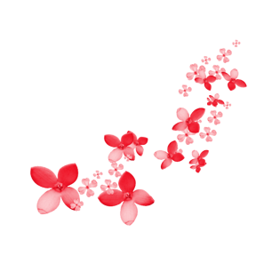 渐变花瓣图片大全_渐变花瓣图片素材【png免费下载】-90设计网