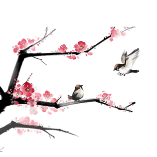 梅花树枝图片大全