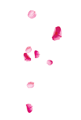 漂浮浪漫花瓣玫瑰花瓣