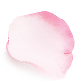 漂浮桃花花瓣图片大全