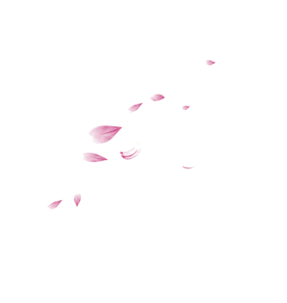 花瓣荷花图片大全_花瓣荷花图片素材【png免费下载】-90设计网