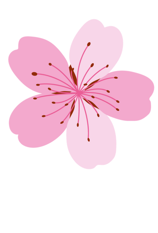 花卉花瓣图片大全