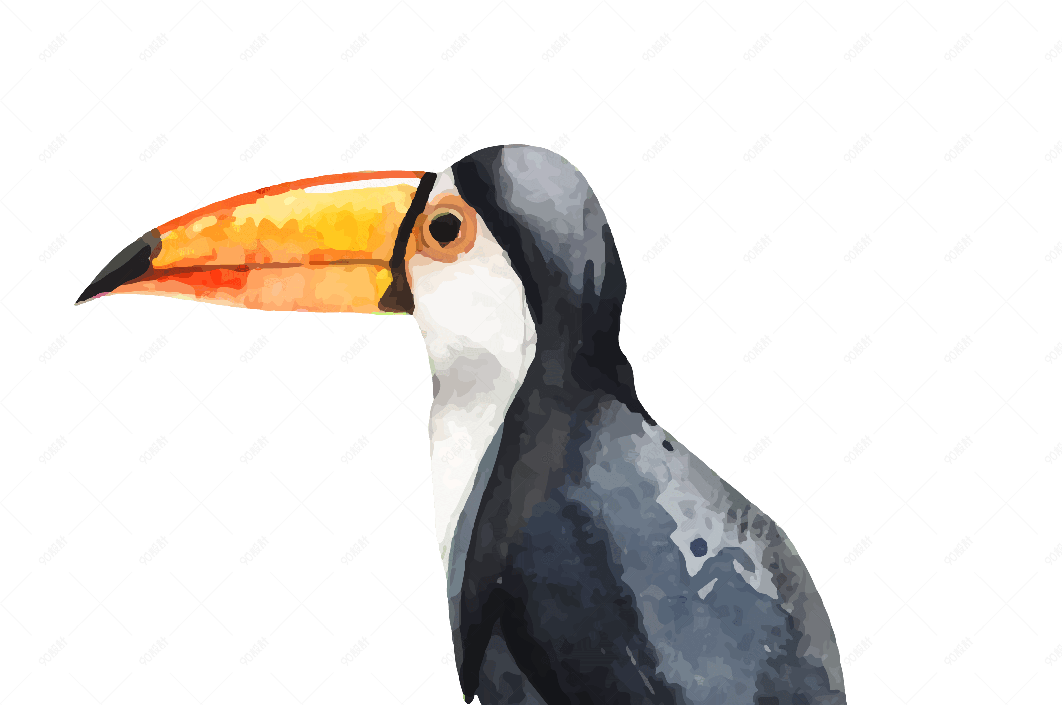 水彩手绘鸟类犀鸟矢量素材