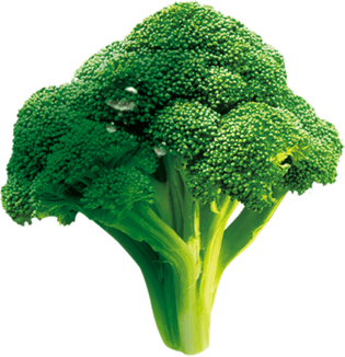 西蓝花图片大全