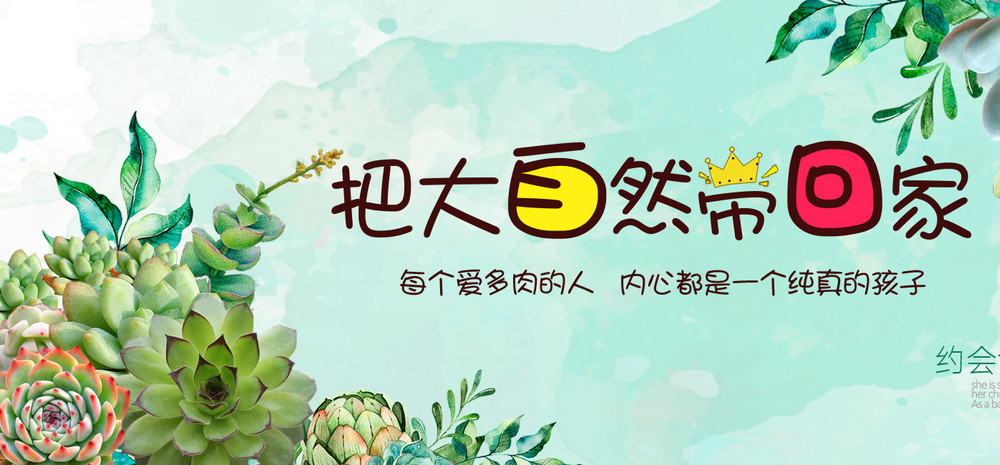 小清新可爱多肉植物促销全屏海报