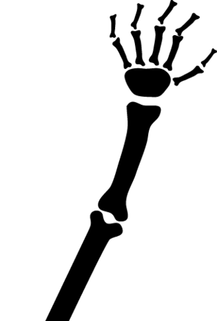 骷髅骨头图片大全