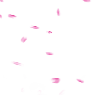 唯美花瓣飘落图片大全