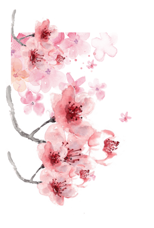 桃花素材图片大全