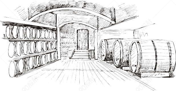 酒窖