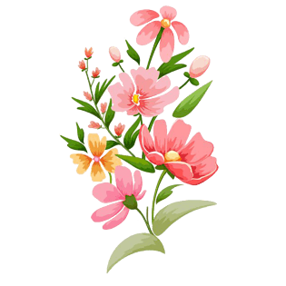 可爱花边装饰图片大全