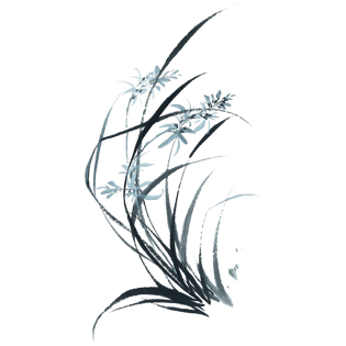 中国风水墨兰花