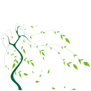 pngpsd2000*2000被风吹开的窗户pngpsd2000*2000被