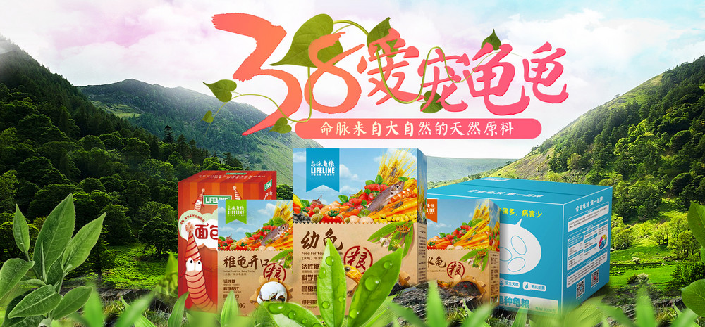 38妇女节清新自然宠物乌龟粮食全屏海报