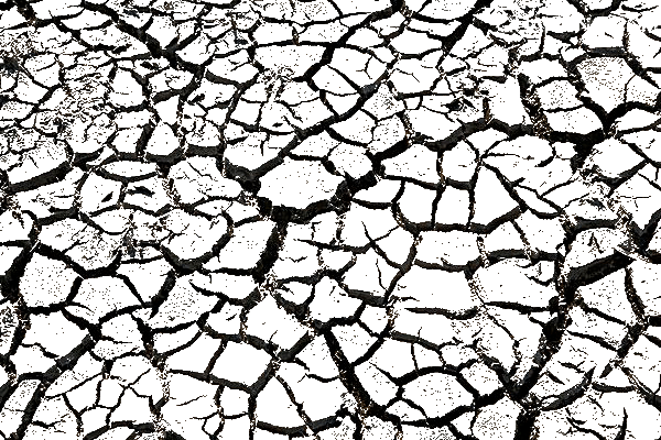 大地裂痕图片大全