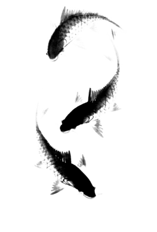 水墨鱼图片大全