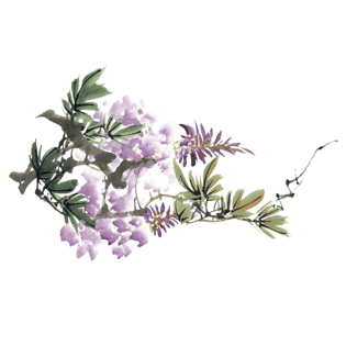 水墨画花瓣图片大全