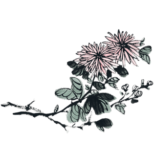 水墨画花瓣图片大全