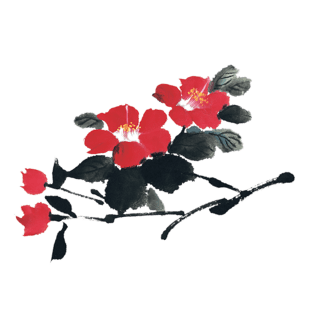 中国风花瓣图片大全