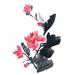 中国风花瓣图片大全