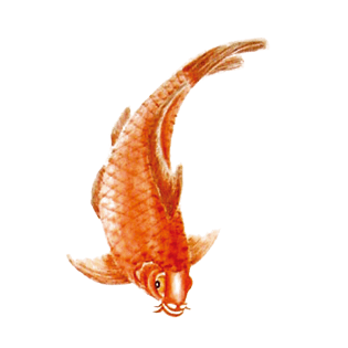 国画鱼图片大全