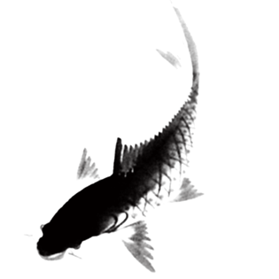 国画鱼图片大全