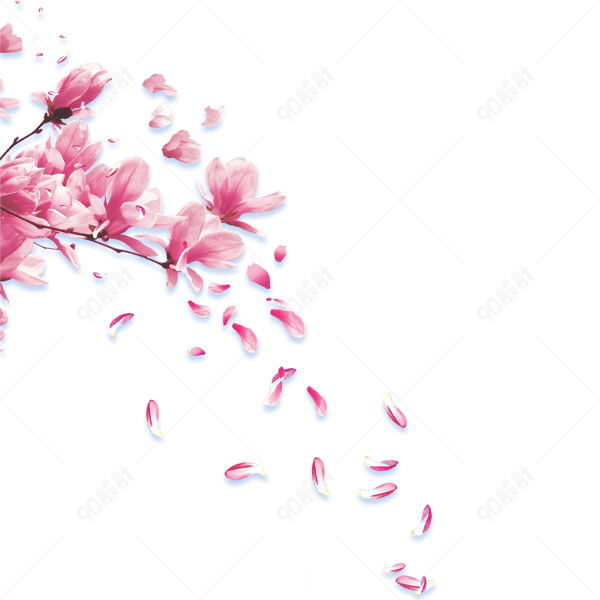 木棉花花瓣飘落素材