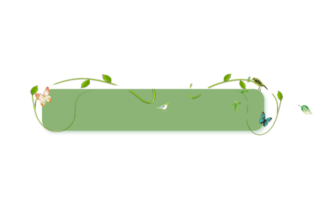 绿色的边框绿叶边框清新花框