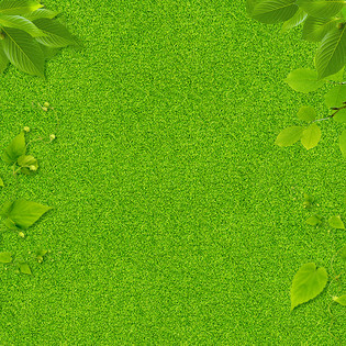 清新草地背景素材_高清清新草地背景图片免费下载-90设计网