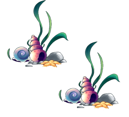 海螺海螺图片大全