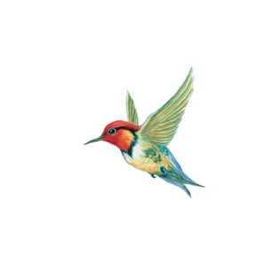 手绘插画飞翔的小鸟元素