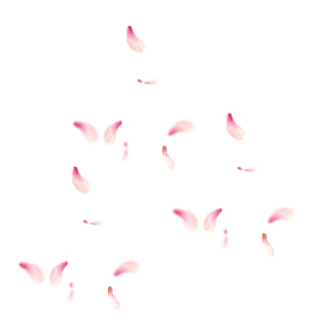 手绘花瓣落花元素