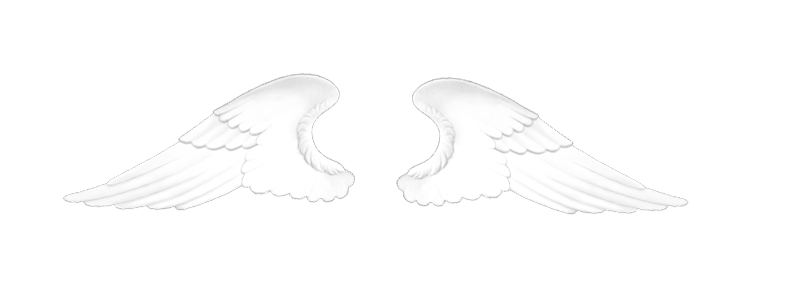 白色翅膀卡通