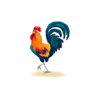 手绘公鸡图片大全