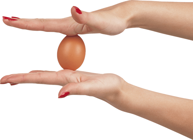 荷包蛋图片大全