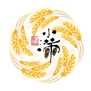 小麦素材图片大全