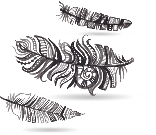 中国风水墨羽毛