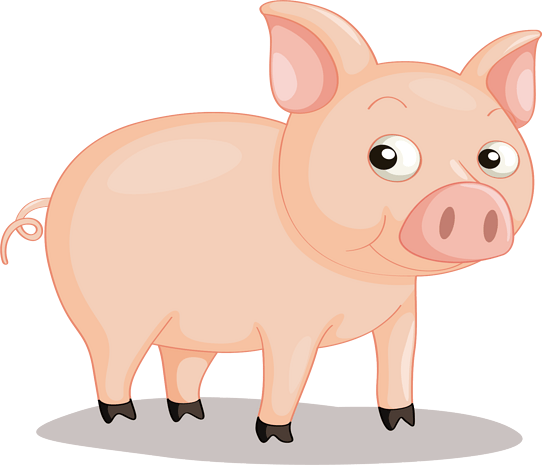 大猪图片大全_大猪图片素材【png免费下载】-90设计网