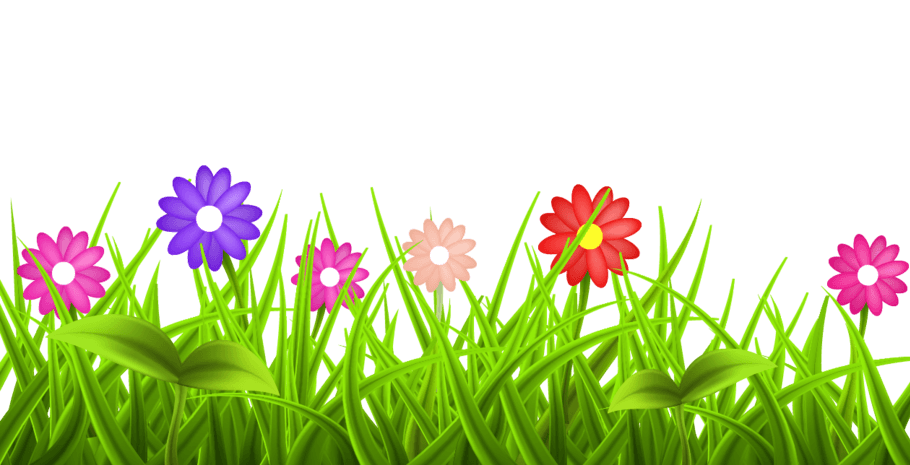 鲜花素材图片大全