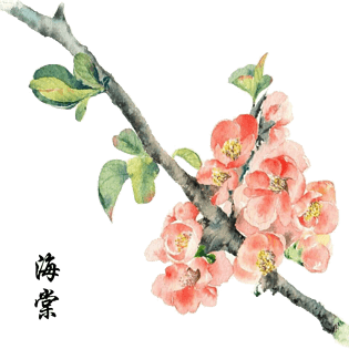 手绘海棠花免抠素材