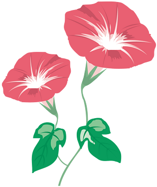 手绘鲜花喇叭花