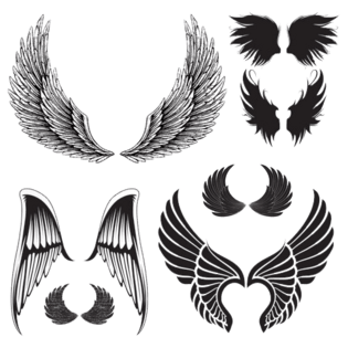 wings动画黑白翅膀图片图片