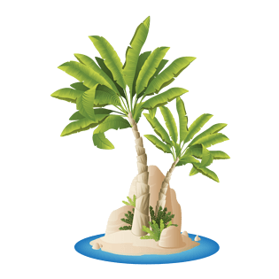 芭蕉树图片大全