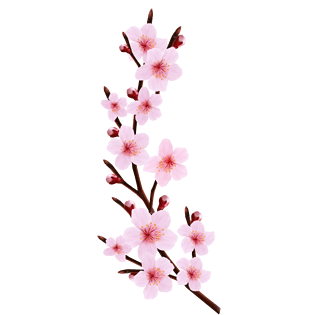 桃枝图片大全_桃枝图片素材【png免费下载】-90设计网
