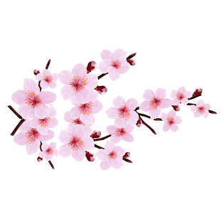 桃枝图片大全_桃枝图片素材【png免费下载】-90设计网