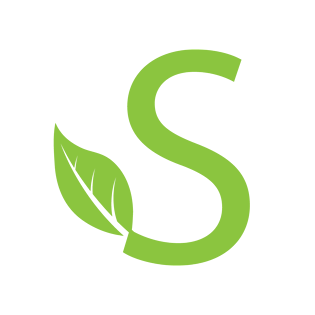 s艺术字图片大全