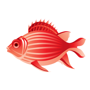 卡通红色小鱼