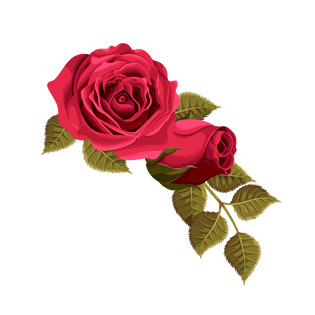 美丽 花图片大全_美丽 花图片素材【png免费下载】-90设计网