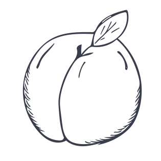 手绘线稿水蜜桃