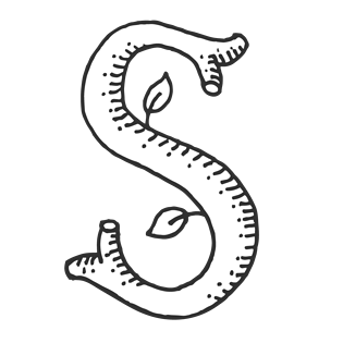 手绘线稿数字字母s